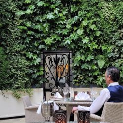 Cavalry & Guards Living Wall